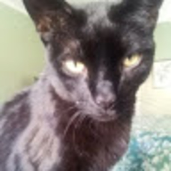 Meet your Posher, Ann - Picture 1 of 1